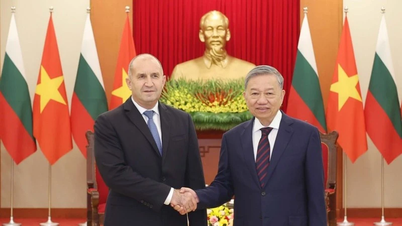 Förderung der traditionellen Freundschaft zwischen Vietnam und Bulgarien