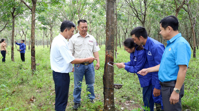 Người giữ màu xanh Việt Trung