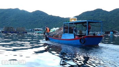 Gom rác vào bờ, làm sạch môi trường biển