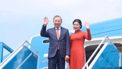 Erwartung neuer Kooperationsmöglichkeiten zwischen Vietnam und Bulgarien