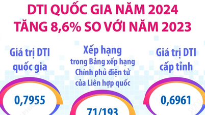 Das nationale DTI stieg 2024 im Vergleich zu 2023 um 8,6 %