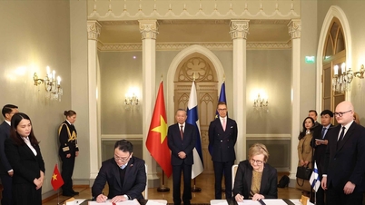 Declaración conjunta sobre el establecimiento de una asociación estratégica entre Vietnam y Finlandia