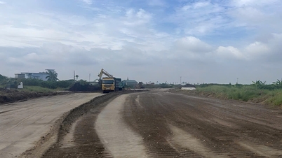 Finalización temprana del despeje del sitio para el Proyecto de Inversión para construir la ampliación de la Ruta Provincial 396