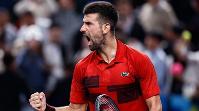 Djokovic se retira del Masters de París, Sinner decide no participar en la Copa Davis