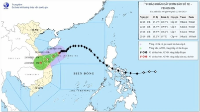 嵐12号がセントラルコーストに接近、強風レベル10、突風レベル12