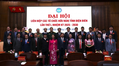 Dien Bien: innovation in content and methods of people's foreign affairs activities