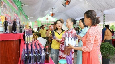 Membangun merek produk pertanian Dong Nai