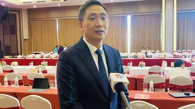 Tuyen Quang: تجارت کے فروغ کو فروغ دینا، مضبوط مصنوعات کو دور دور تک لانا