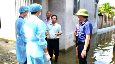 Establecer tres equipos de inspección para apoyar la prevención y el control de enfermedades después de las inundaciones