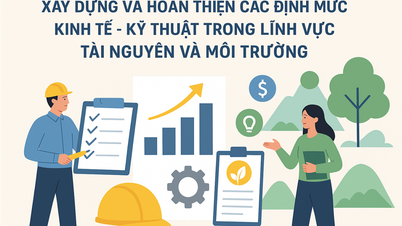 Cà Mau hoàn thiện hệ thống định mức kinh tế - kỹ thuật trong lĩnh vực tài nguyên và môi trường