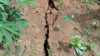 Quang Ngai met en garde contre une série de zones sujettes aux glissements de terrain menaçant des centaines de foyers
