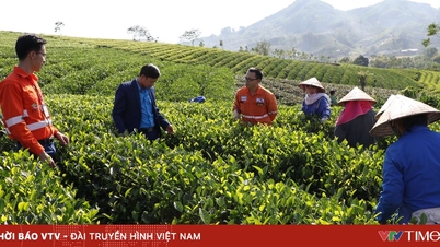 Vietnam – EU: Perolehan dagangan berjaya melalui leverage hijau dan transformasi digital