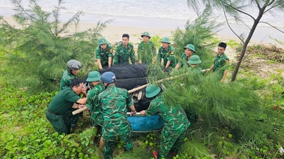 Der Grenzschutz von Da Nang bereitet proaktiv Pläne vor, um auf Sturm Nr. 12 reagieren zu können
