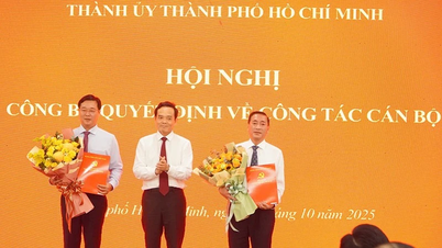 Comitê do Partido da Cidade de Ho Chi Minh anuncia decisões de pessoal