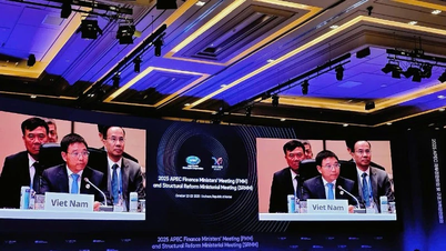 Việt Nam tại APEC 2025: Tích cực thúc đẩy hợp tác đổi mới sáng tạo, tài chính số và chính sách tài khóa