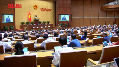 [Video] Trình Quốc hội dự án Luật Hàng không dân dụng Việt Nam (sửa đổi)