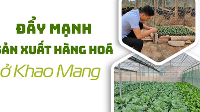 Impulso a la producción de bienes en Khao Mang