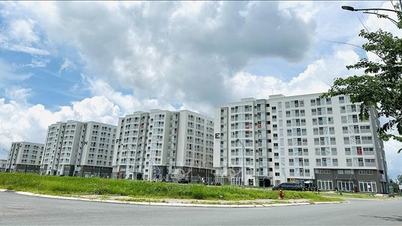 Desenvolvimento de habitação social: Desbloquear os fluxos de capital e lidar com a "raiz" da oferta