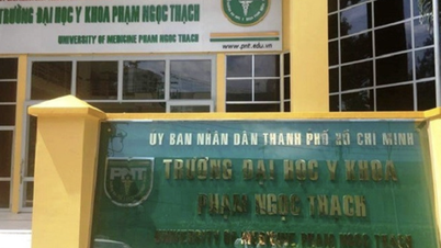 Dernières informations sur la suspension du programme de médecine germano-vietnamien à l'Université de médecine Pham Ngoc Thach