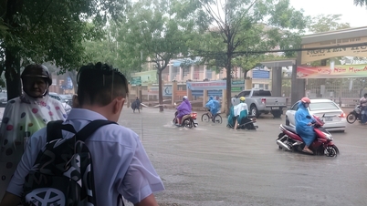 Da Nang dan Hue memberi siswa libur 2 hari untuk menghindari badai No. 12 Fengshen