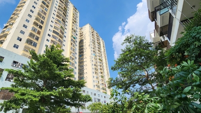 As transações imobiliárias são, na sua maioria, compras de segundas casas, procurando um lugar para 'esconder' ativos
