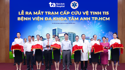 Tam Anh General Hospital contributes stroke emergency capacity to the city