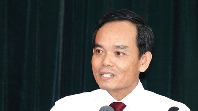 A Cidade de Ho Chi Minh não fundirá bairros e comunas com pequenas áreas nos próximos anos.