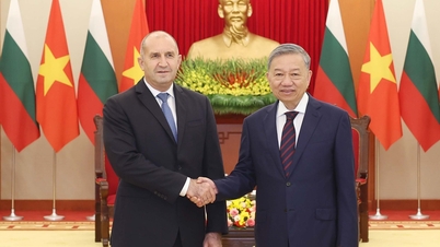 Abriendo nuevos espacios de cooperación entre Vietnam y Bulgaria