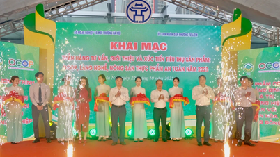 Hanoi: Otwarcie Tygodnia konsultacji, wprowadzania i promowania spożycia produktów OCOP
