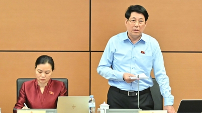It is necessary to specify standards and policies for the treatment of civil servants.