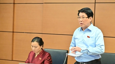 Quy hoạch cảng hàng không phải có tầm nhìn xa, hiệu quả