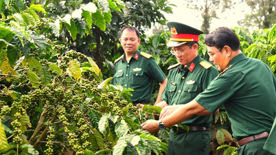 Điểm sáng doanh nghiệp Quân đội trên địa bàn chiến lược Tây Nguyên