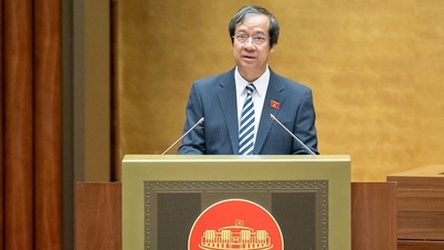 The Government submitted to the National Assembly 3 draft laws related to education.
