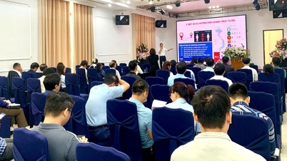 Hai Phong: Promoting digital transformation in e-commerce management and development