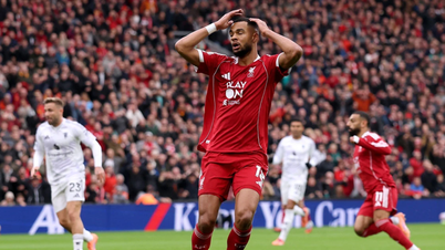 Fußball-Tipp Frankfurt gegen Liverpool, 23. Oktober, 02:00 Uhr: Werden die Red Devils ihren Glauben zurückgewinnen?