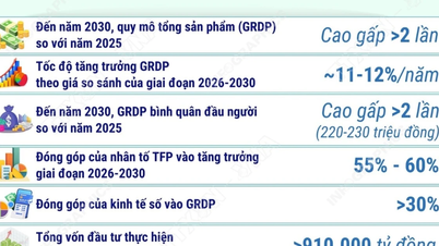2030 تک، Phu Tho دارالحکومت کے علاقے کی ترقی کے قطبوں میں سے ایک ہو گا۔