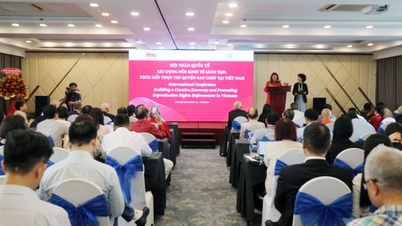 Promoting Copyright Enforcement in Vietnam – Foundation for Creative Economy Development