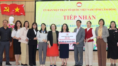 Lam Dong Red Cross Society donated more than 260 million VND to help people in flood-hit areas.