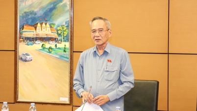 Cần quy định về vận tải hàng không tầm thấp