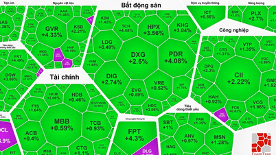 VN-Index phục hồi phiên thứ 2 sau phiên giảm kỷ lục