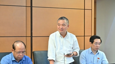 Tập trung đầu tư cho đại học trọng điểm để có trường hàng đầu châu Á