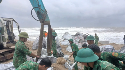 Đà Nẵng khẩn cấp kè chắn sạt lở bờ biển Hội An trước khi bão đổ bộ