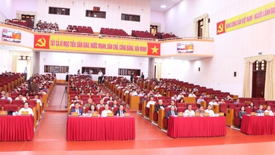 Hội nghị nghiên cứu, học tập, quán triệt, tuyên truyền và triển khai thực hiện Nghị quyết Đại hội đại biểu Đảng bộ tỉnh lần thứ XV, nhiệm kỳ 2025 - 2030