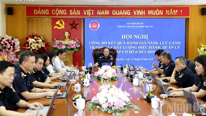 Chi cục Hải quan khu vực VI công bố đánh giá năng lực cạnh tranh CDCI
