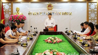 Son La Provincial People's Committee held a meeting to review the need to eliminate newly emerging temporary and dilapidated houses.