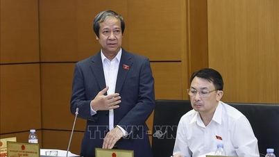 디지털 전자 학위증의 법적 가치와 보안을 명확하게 규정합니다.