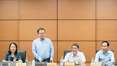 모든 수준의 학생들에게 디지털, 소셜, 친환경 기술 3가지를 가르치는 것이 필요합니다.