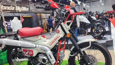 Honda CT125 Chums Limited Edition: bản chim điên 300 chiếc