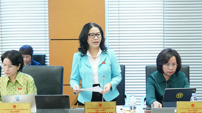 고등교육법 초안(개정)은 강력한 혁신적 사고를 보여줍니다.