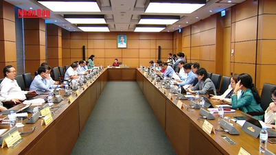 [Video] Delegates discuss several draft laws on the education sector